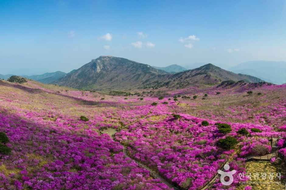 Biseulsan Mountain