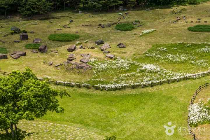 고창 고인돌 유적
