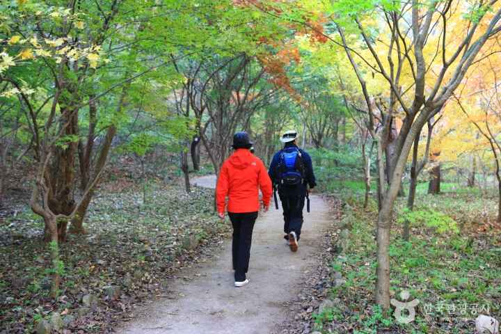 Mt. Naejangsan in Autumn 