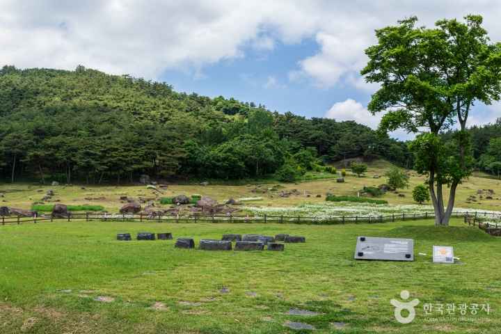 고창 고인돌 유적