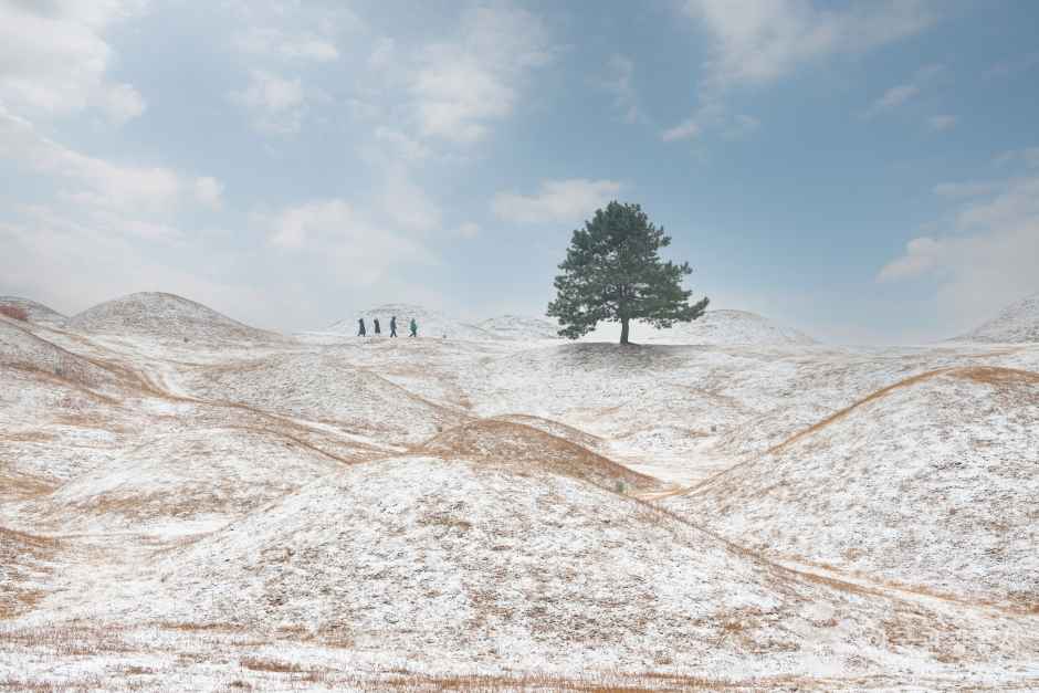 불로동 고분군 겨울이야기