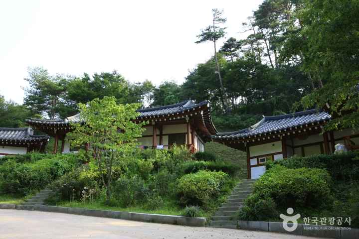 안면도자연휴양림