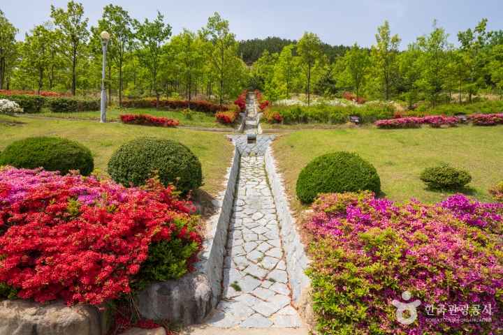 Erosion Control Memorial Park
