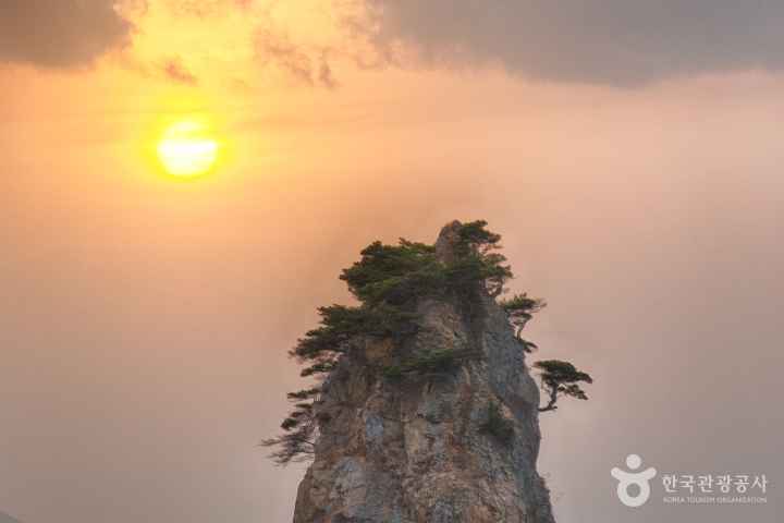 꽃지해수욕장