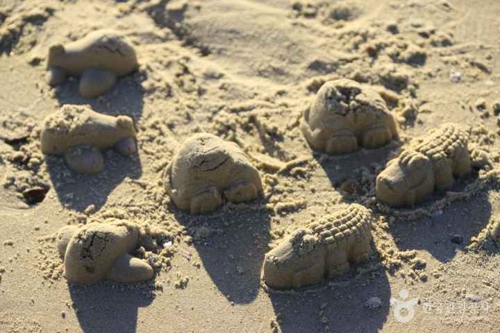 Kkotji Beach 