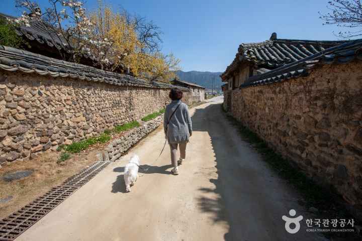 담양 창평 삼지내마을
