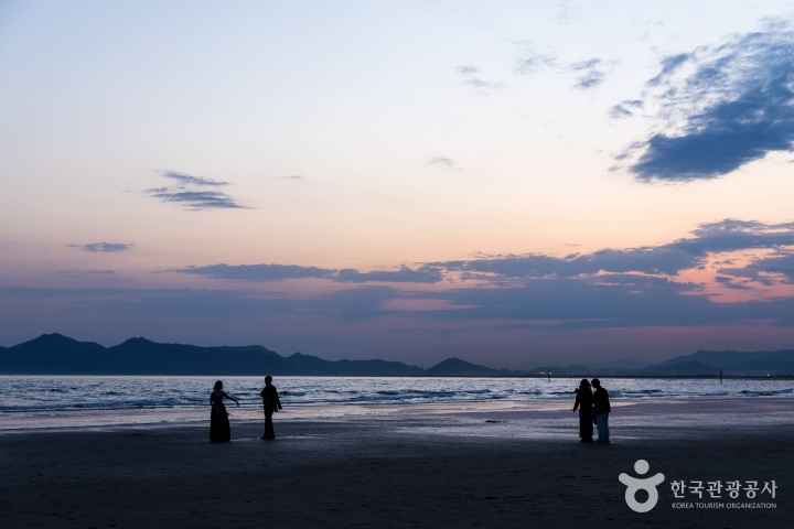 을숙도