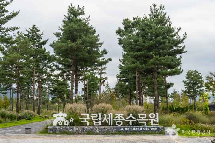Sejong National Arboretum