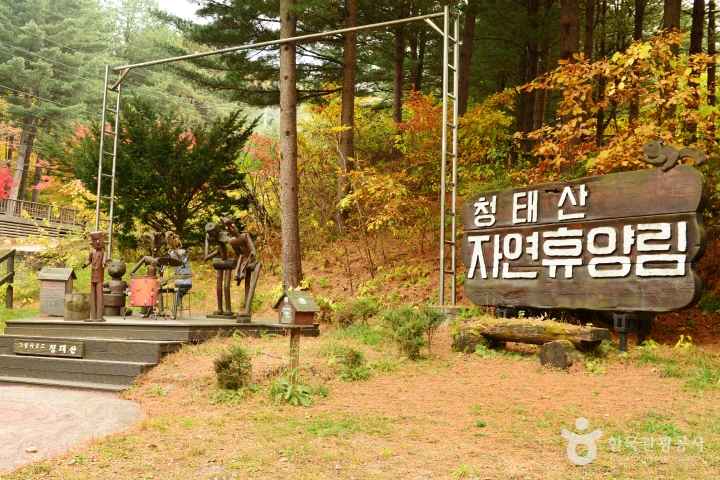 Cheongtaesan National Recreational Forest