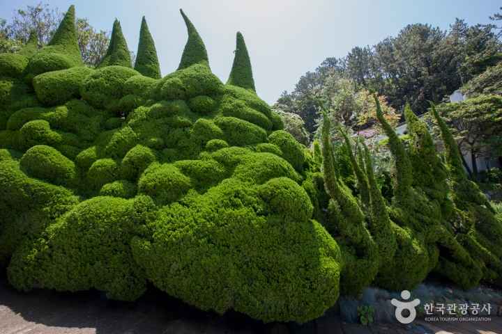 Geoje Oedo-Botania