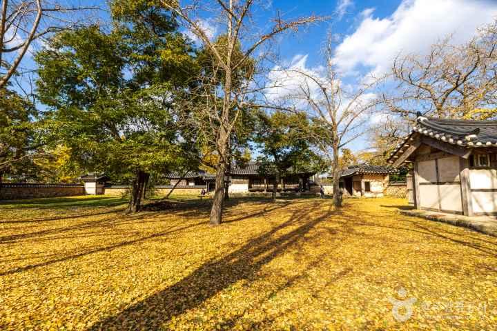 Cheongna Ginkgo Village