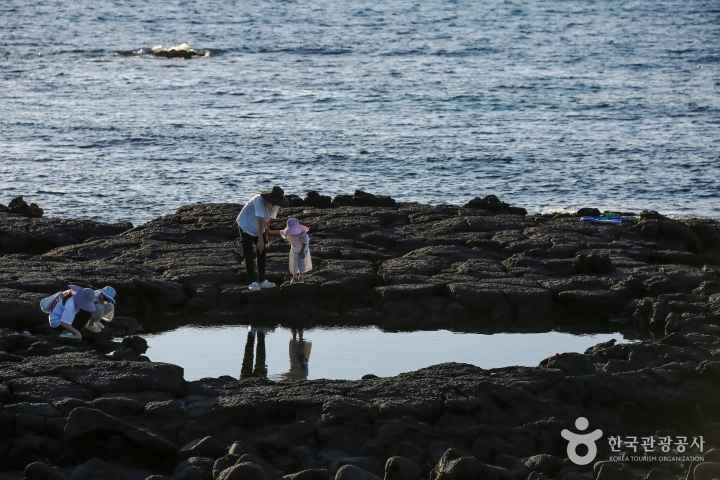 귀덕2리 인어마을