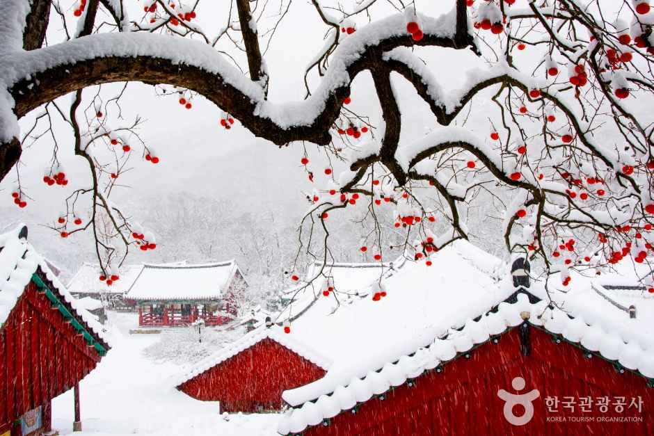 Winter Landscape of a Temple