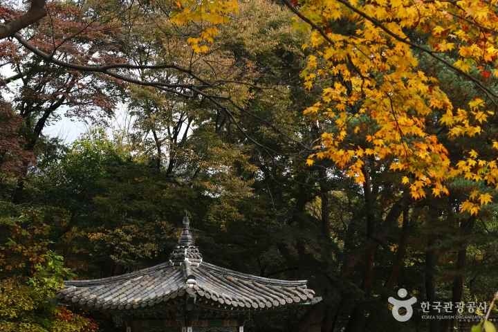 Changdeokgung Palace