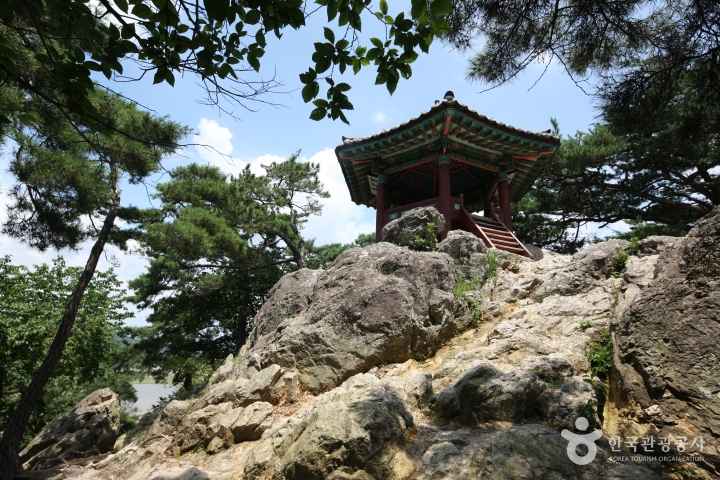 백화정