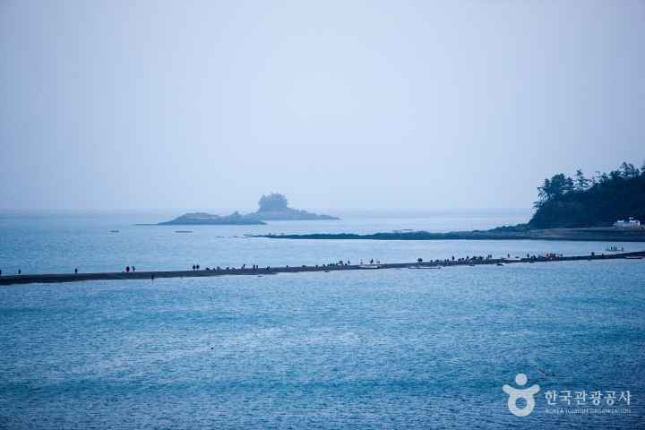진도 신비의 바닷길 축제
