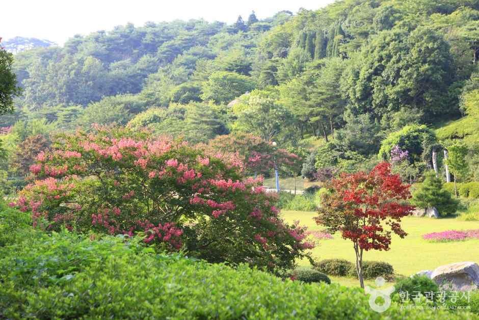 안면도자연휴양림