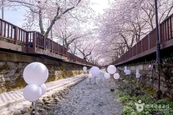 2024 진해군항제