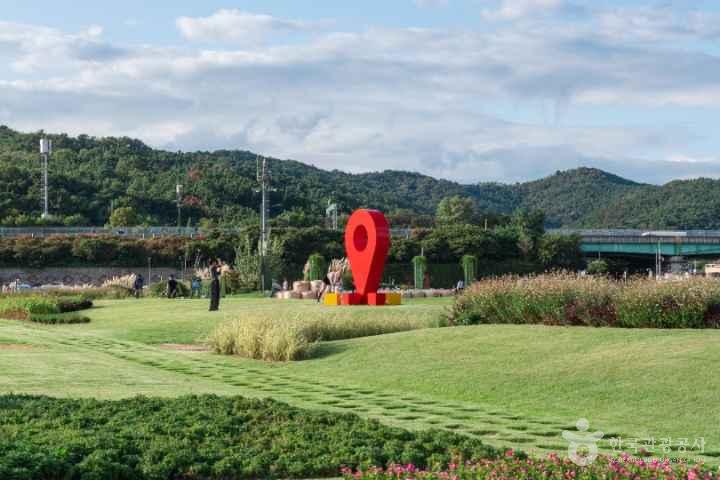 이환우_9월_대구 하중도 (1)