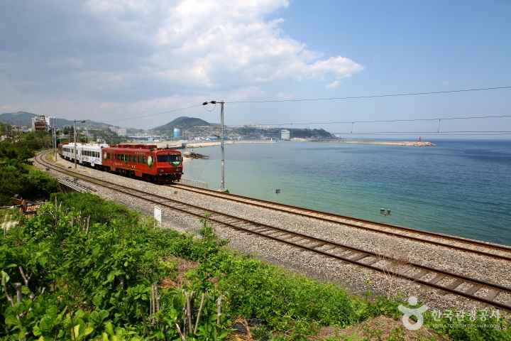 Donghae Sea Train