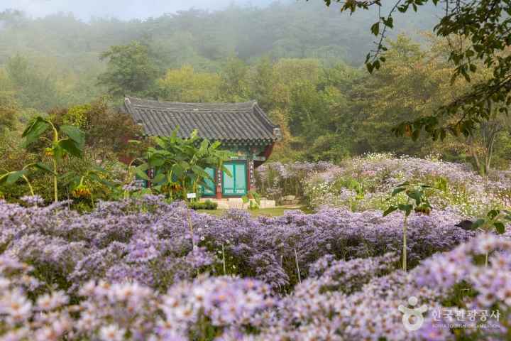 문경 봉천사