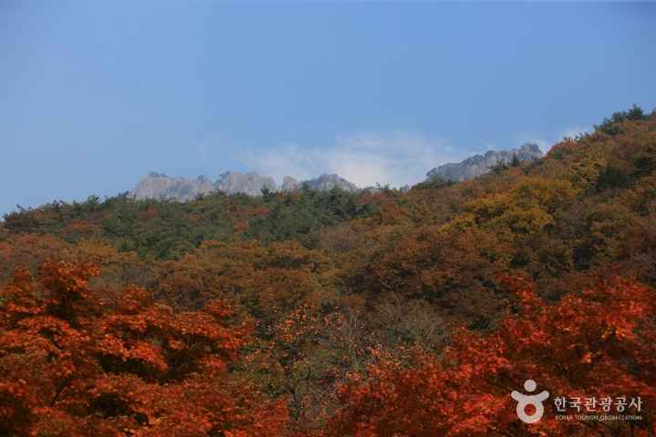 Mt. Naejangsan in Autumn 
