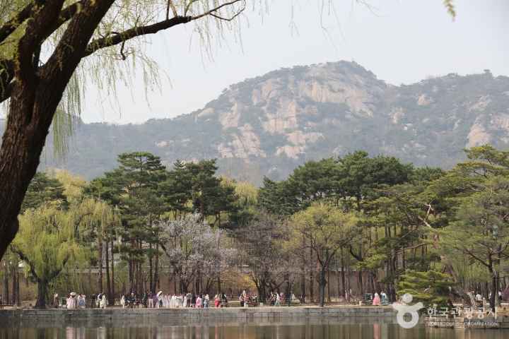 Gyeongbokgung Palace