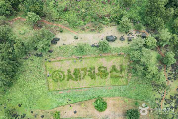 화순 고인돌 유적지