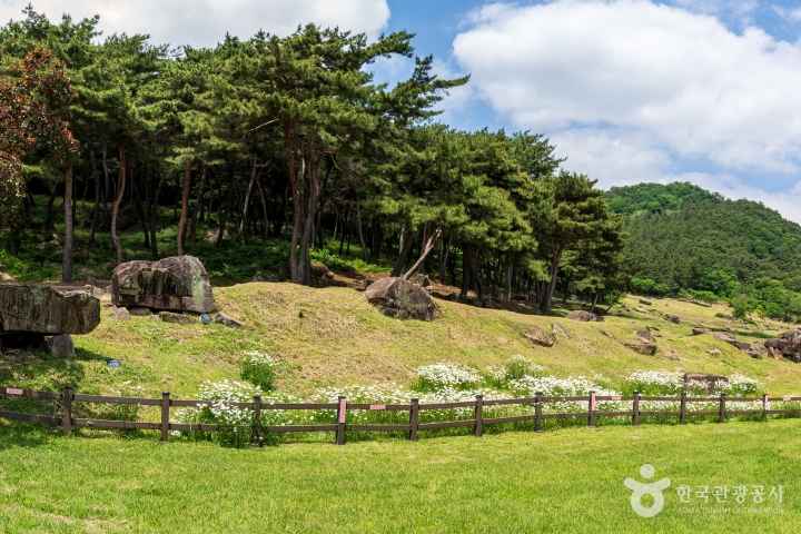 고창 고인돌 유적