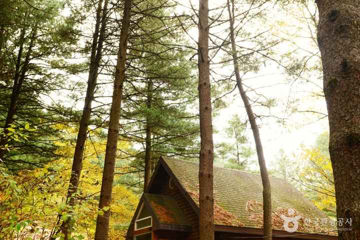 Cheongtaesan National Recreational Forest