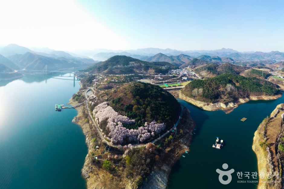 2019 Jecheon Cheongpungho Cherry Blossom Festival