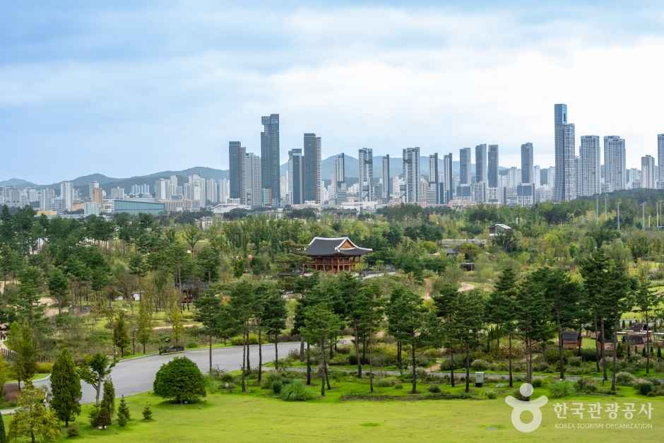 Sejong National Arboretum