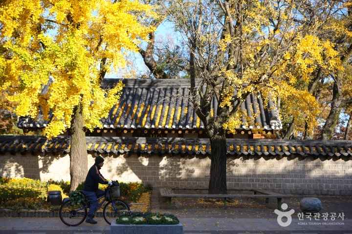 Jeonju Hanok Village