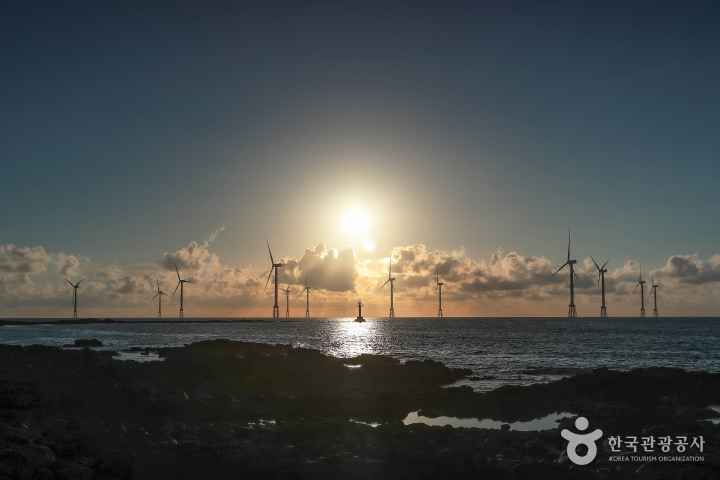 귀덕2리 인어마을