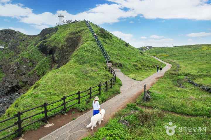 Seopjikoji