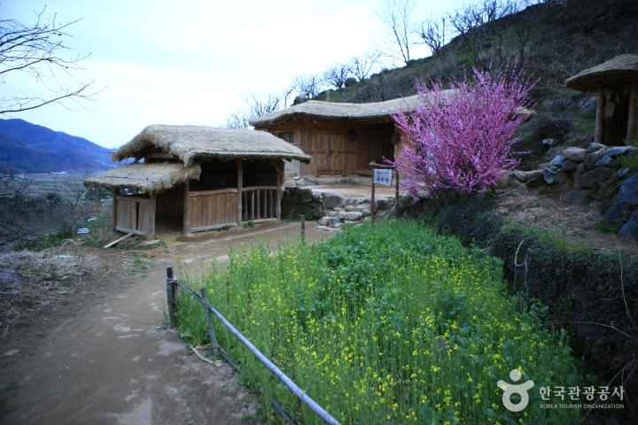 a Background site of Novel 'Land'