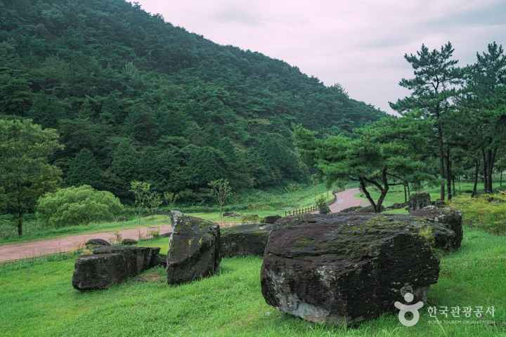 화순 고인돌 유적지