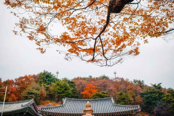 Sejong Biamsa Temple
