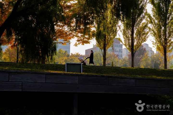 Yanghwa Hangang Park