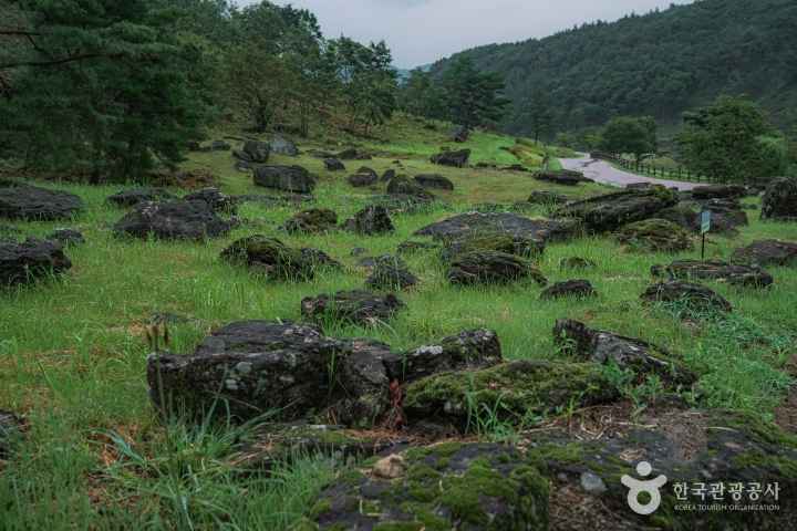 화순 고인돌 유적지