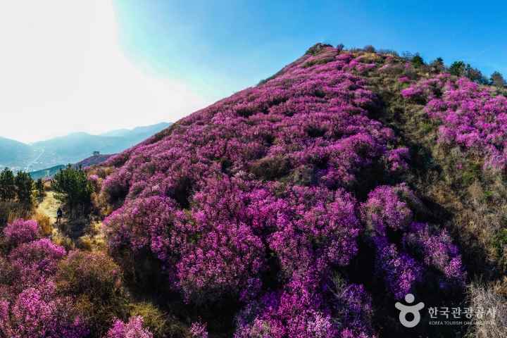 Yeosu Yeongchwisan Mountain