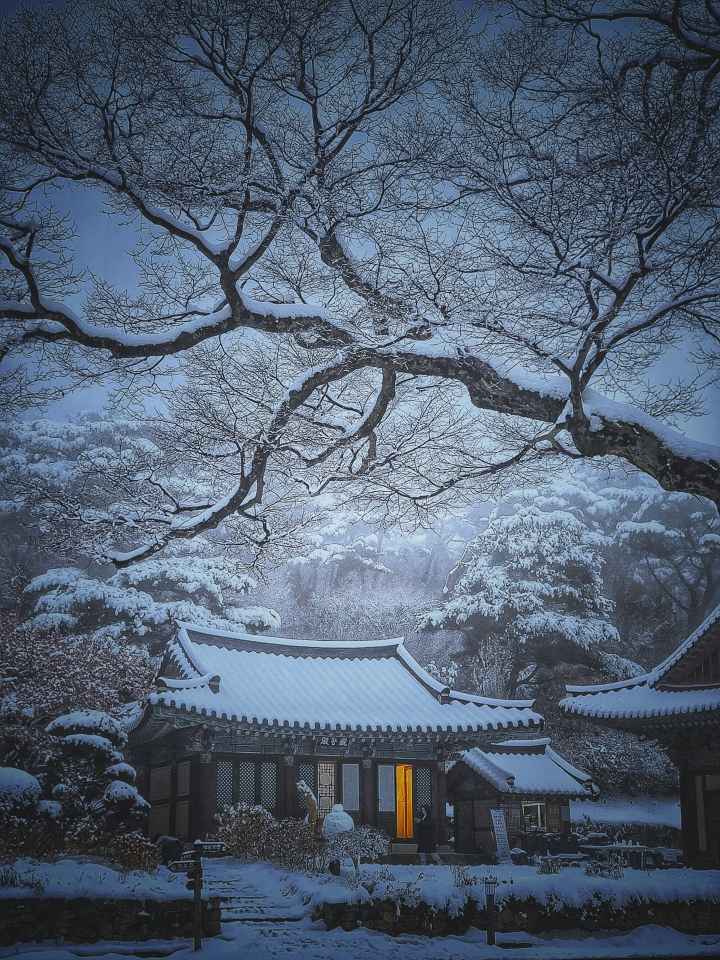 Snowy Night at the Mountain Temple