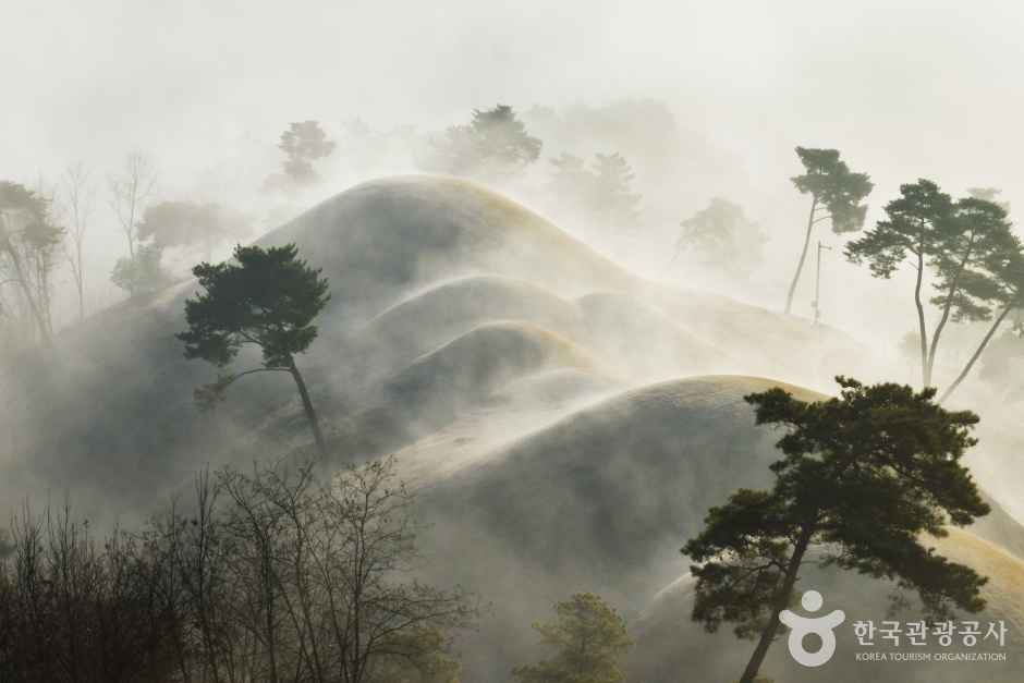 안개속 대가야 고분