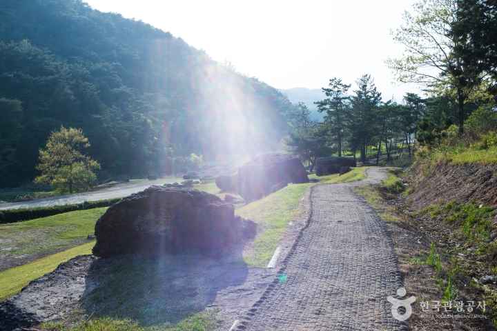 화순 고인돌 유적지