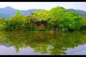 위양지(Wiyang Pond, Miryang)