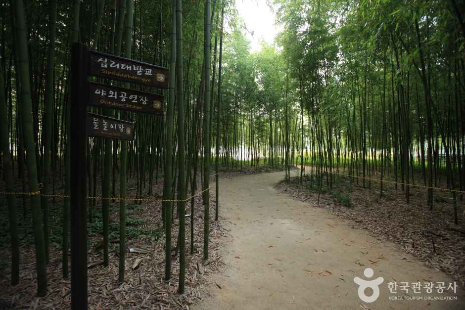Ulsan Taehwagang Park