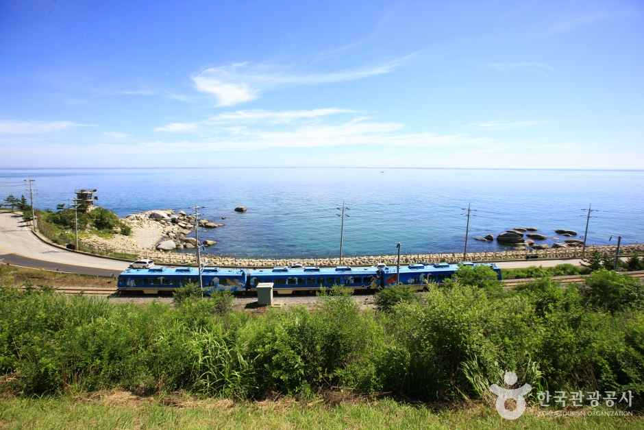 Coast Scenic Railway 