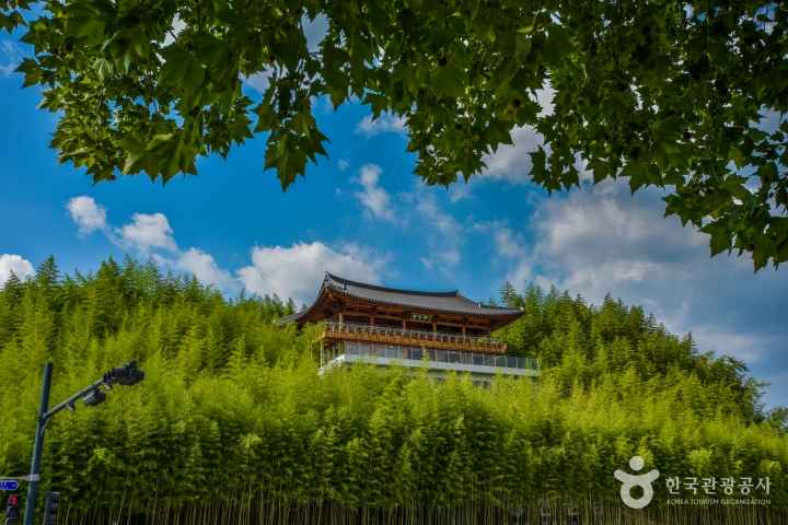죽녹원