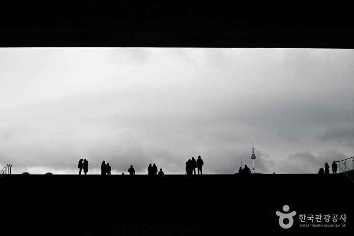 남산이 보이는 실루엣