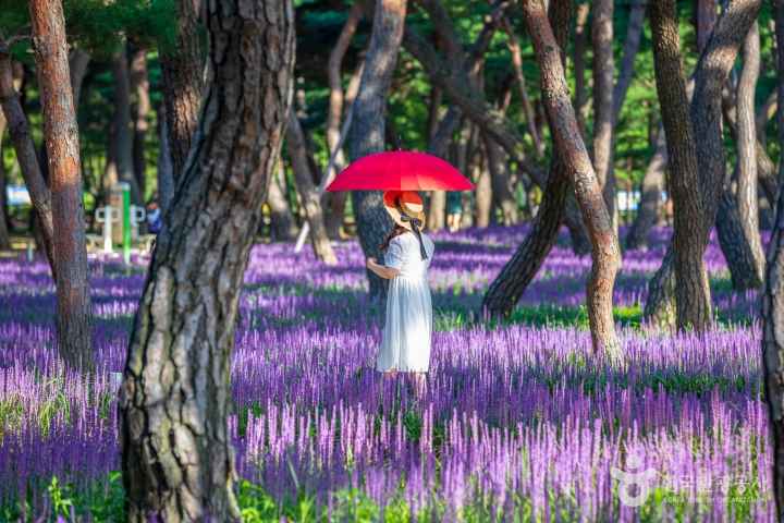 Hwangseong Park